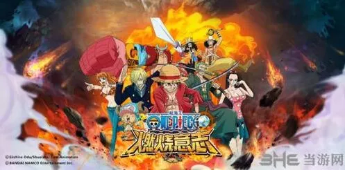 航海王技能状态管理攻略详解