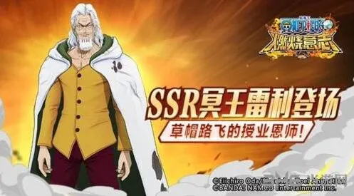 航海王燃烧意志雷利强度分析攻略