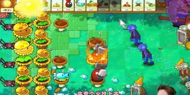 植物大战僵尸攻略