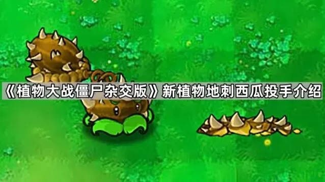 杂交版地刺西瓜投手效果介绍