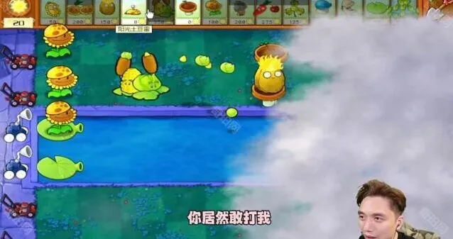 植物大战僵尸杂交