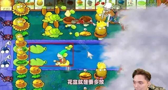 植物大战僵尸攻略