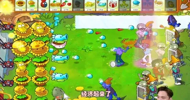 植物大战僵尸通关