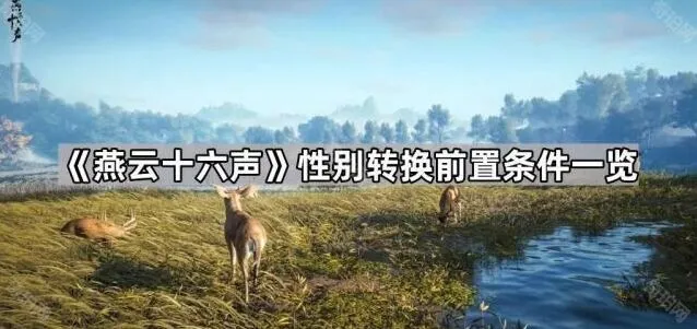 燕云十六声性别转换完整攻略分享