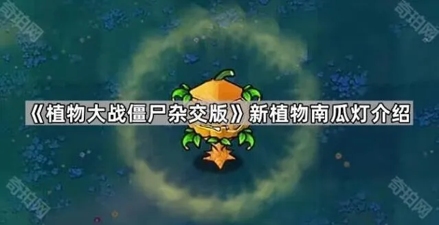 植物大战僵尸南瓜灯