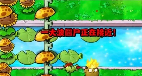 植物大战僵尸攻略
