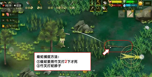 罗马尼亚高山蝮蛇捕捉方法攻略