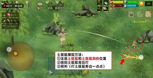挨饿荒野罗马尼亚高山捉土拨鼠指南