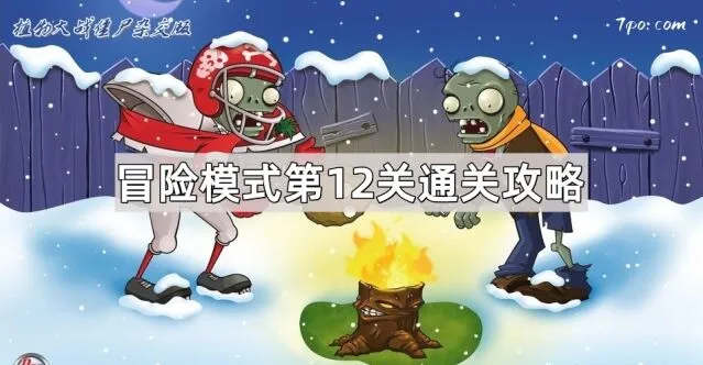 植物大战僵尸杂交版冒险模式第12关完全攻略