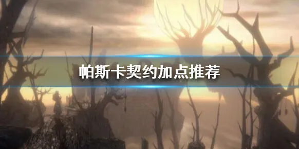 帕斯卡契约加点攻略 保命优先加点思路
