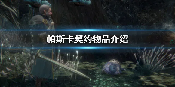 《帕斯卡契约》物品道具介绍指南