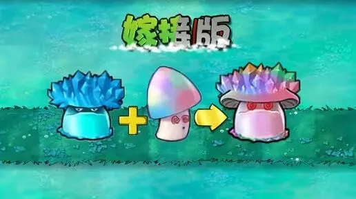 植物大战僵尸魅惑寒冰菇介绍攻略
