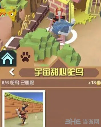 疯狂动物园鸵鸟