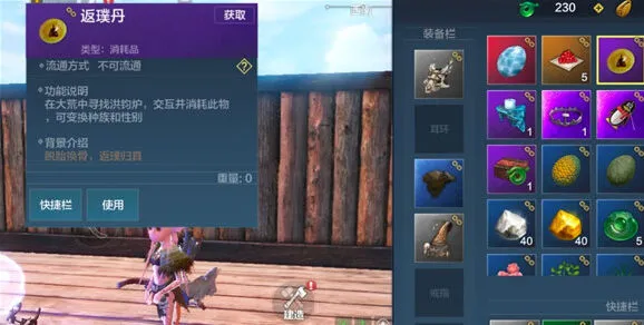 妄想山海洪钧炉位置介绍与寻找方法
