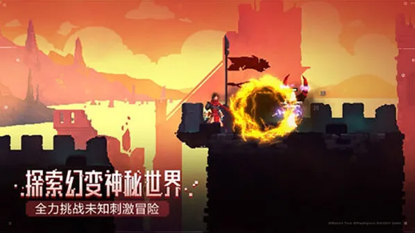 庇护所二细胞通关攻略详解