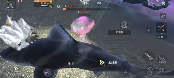 妄想山海石镜鱼位置与获得方法