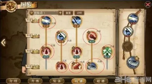 卡古技能点怎么加 航海王角色加点推荐