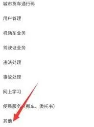 交管12123违法行为