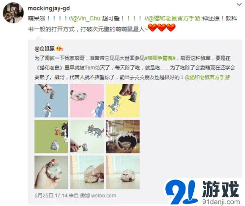 猫和老鼠手游
