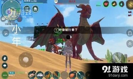 创造与魔法飞龙击晕方法详解