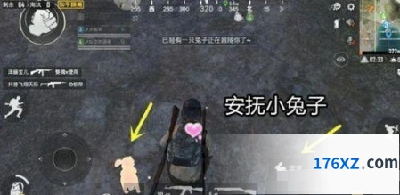 和平精英月兔安抚方法
