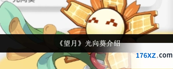《望月》光向葵介绍