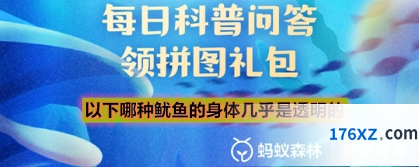 以下哪种鱿鱼的身体几乎是透明的