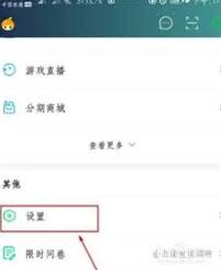 爱奇艺直播插件