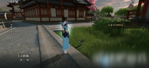 遇见中之人