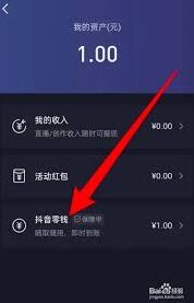 抖音钱包