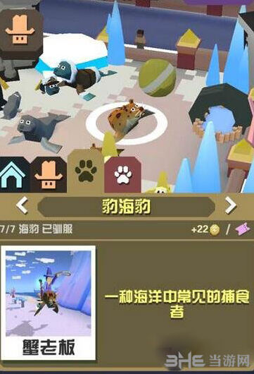 疯狂动物园豹海豹