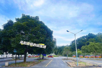 费用