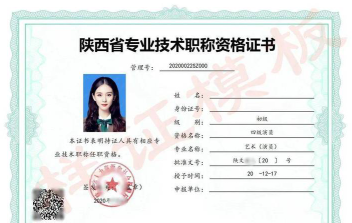 专业领域