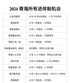 评述