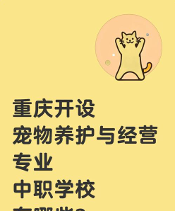 专业学校