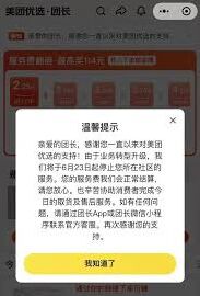 美团优选