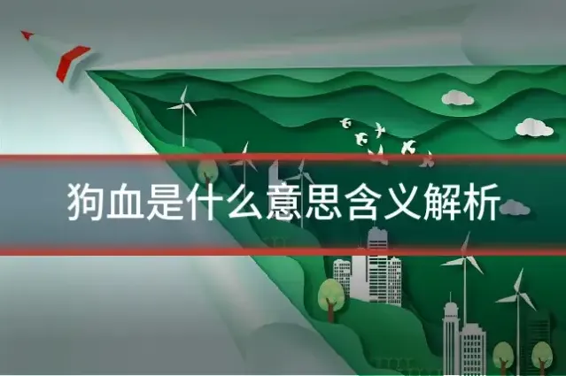 狗血是什么意思含义解析
