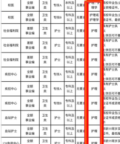 护士