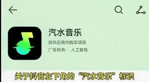 抖音汽水