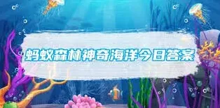 支付宝海洋