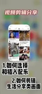 小红书音乐提取实用指南