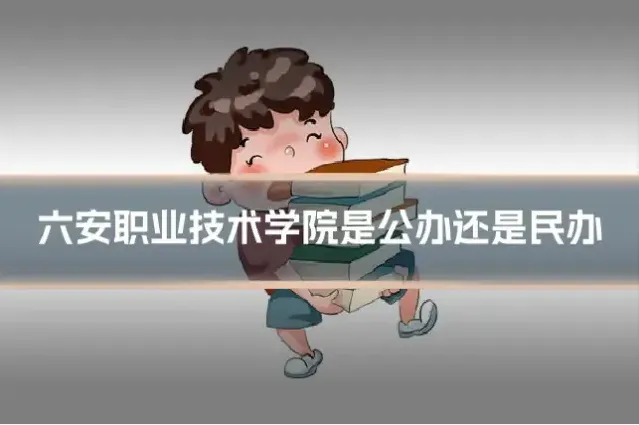 六安职业技术学院是公办还是民办