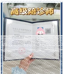 陪诊