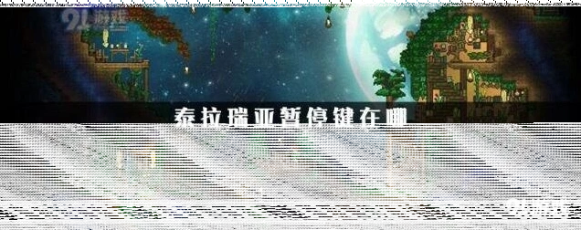 《泰拉瑞亚》暂停功能使用教程