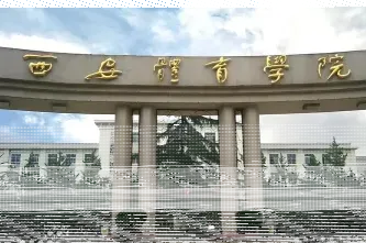 中心
