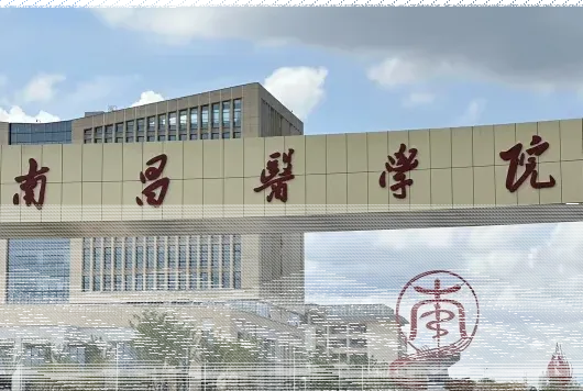 学校
