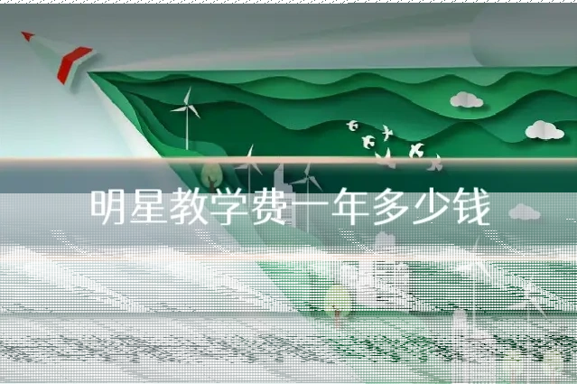 明星教学费一年多少钱