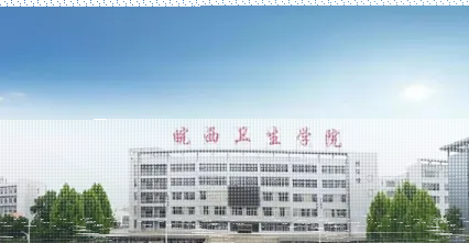 专业