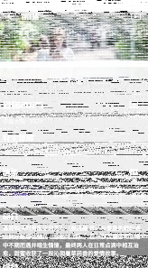 微信蛋播