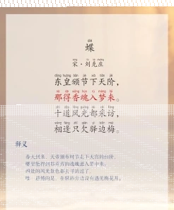 蝴蝶